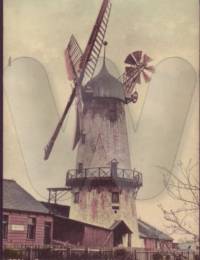William&#039;s windmill at Greatham, Co Durham.